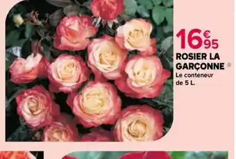 Kiriel ROSIER LA GARÇONNE offre