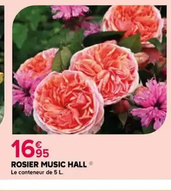 Kiriel ROSIER MUSIC HALL offre