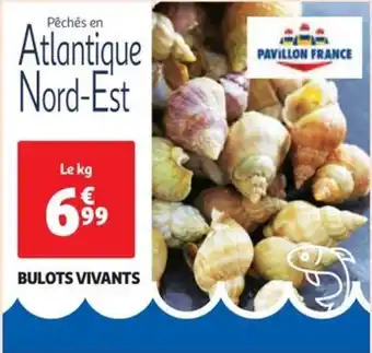 Auchan Supermarché BULOTS VIVANTS offre