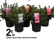 Auchan Nivea - déodorant bille men offre