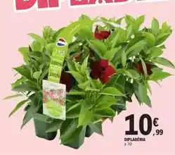 Auchan Athena - ligne easy seconde pea offre