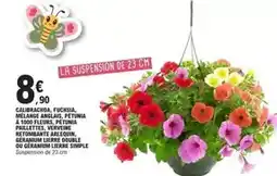 Auchan Inextenso - ligne essentiel micro offre