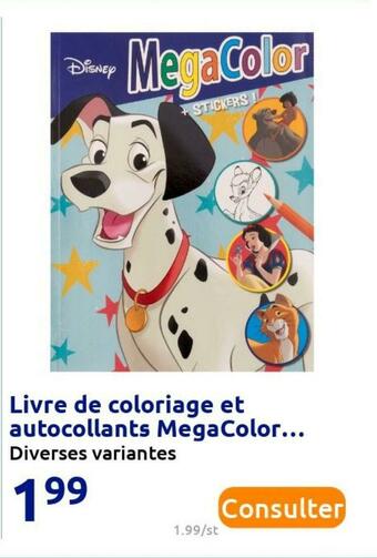 Action Livre de coloriage et autocollants megacolor offre