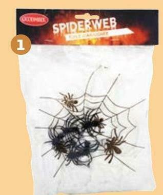 Toile + 5 araignées