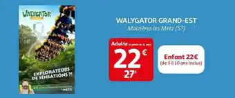 Metz walygator grand-est