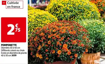 Auchan Pomponette offre