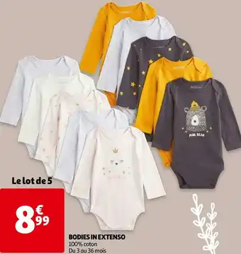 Auchan In extenso bodies offre