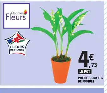 E.Leclerc POT DE 3 GRIFFES DE MUGUET offre