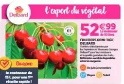 Intermarché Coca-cola offre