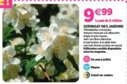 Intermarché Limonade offre