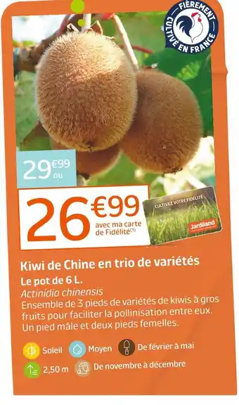 Jardiland Kiwi de Chine en trio de variétés offre