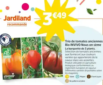 Jardiland INVIVO Nous on sème Trio de tomates anciennes Bio offre