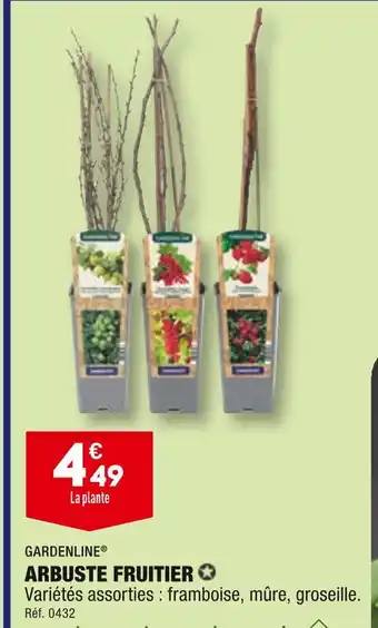 ALDI GARDENLINE ARBUSTE FRUITIER offre