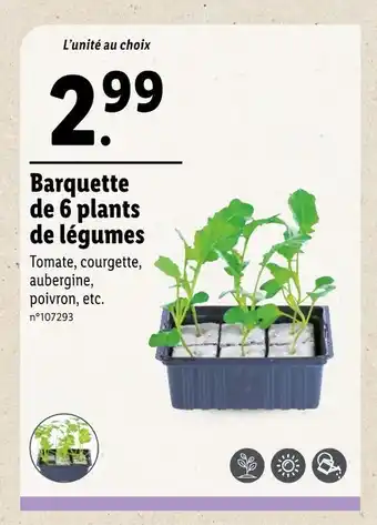 Lidl Plants de légumes offre