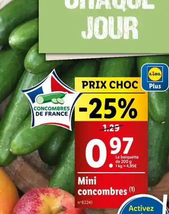 Lidl Mini concombres offre