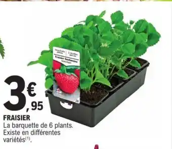 FRAISIER