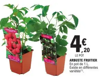 ARBUSTE FRUITIER En pot de 1 L.