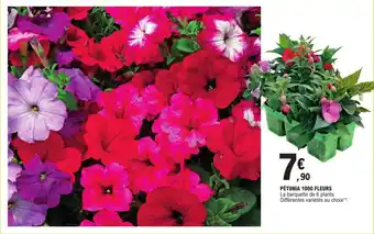 E.Leclerc PÉTUNIA 1000 FLEURS offre