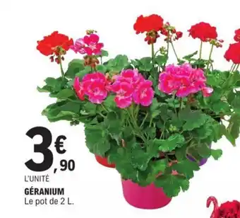 E.Leclerc GÉRANIUM Le pot de 2 L. offre