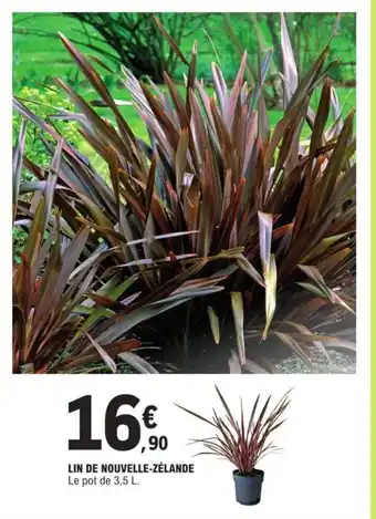 LIN DE NOUVELLE-ZÉLANDE Le pot de 3,5 L.