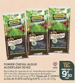 Auchan Acer palmatum mix offre