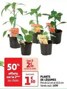 Auchan Plants de légumes offre