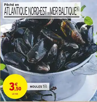 Intermarché MOULES offre