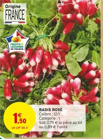 Intermarché RADIS ROSE offre