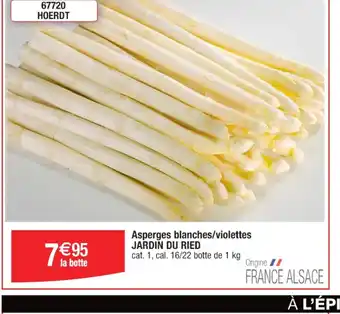 Asperges blanches/violettes JARDIN DU RIED