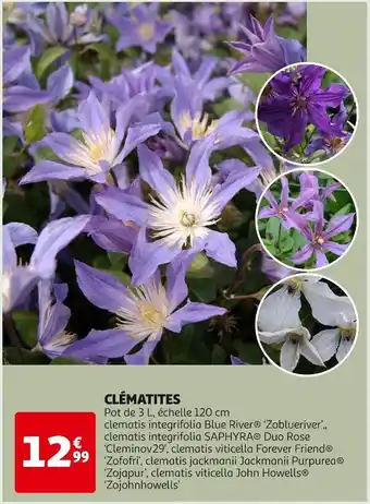 CLĂMATITES