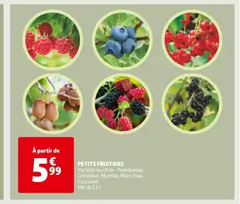 Auchan PETITS FRUITIERS offre