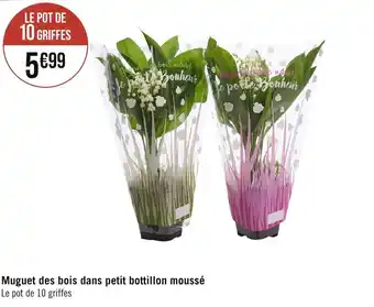 Casino Supermarchés Muguet des bois dans petit bottillon moussé Le pot de 10 griffes offre