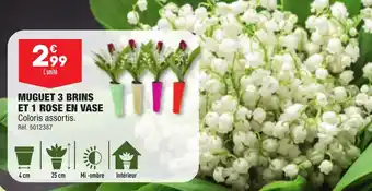 ALDI MUGUET 3 BRINS ET 1 ROSE EN VASE offre