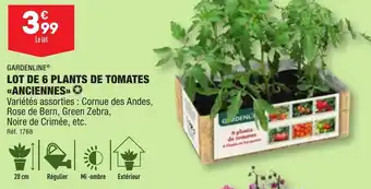 ALDI GARDENLINE® LOT DE 6 PLANTS DE TOMATES «ANCIENNES⟫✪ offre