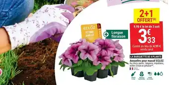 Gamm vert Plantes à fleurs offre