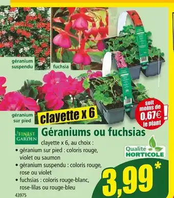 Norma FINEST GARDEN Géraniums ou fuchsias offre