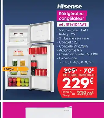 Pro&Cie Hisense Réfrigérateur congélateur offre