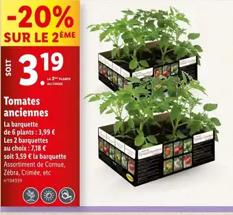 Lidl Tomates anciennes offre