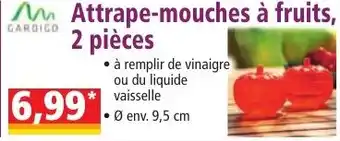 Norma Attrape-mouches à fruits, 2 pièces offre