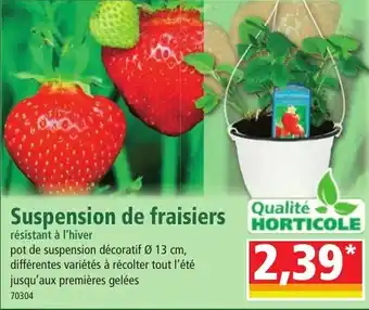 Norma Suspension de fraisiers offre