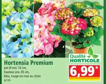 Norma Hortensia Premium offre