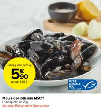 Carrefour Market Moule de hollande MSC offre
