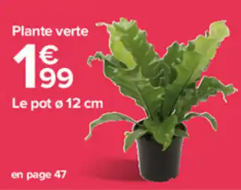 Carrefour Plante Verte offre