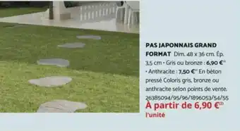 PAS JAPONNAIS GRAND FORMAT