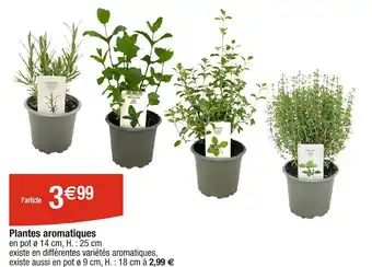 Cora x Carrefour Plantes aromatiques offre