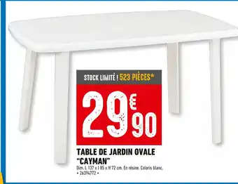 Brico Cash TABLE DE JARDIN OVALE “CAYMAN” offre