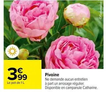 Carrefour Pivoine offre