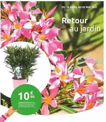 Laurier-rose Diam 20 Cm