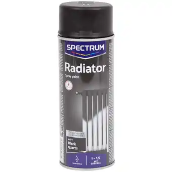 Action Spectrum Peinture mate pour radiateur Spectrum Noir offre