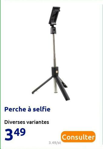 Perche à selfie